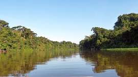 Tortuguero