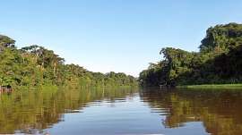 Tortuguero