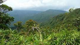 Monteverde