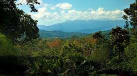 Cordillera de Talamanca