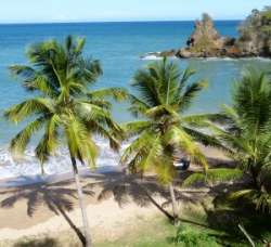 Strand / Baden im Meer