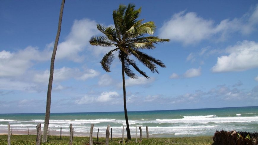 Brasilien Rundreise - Bild 14