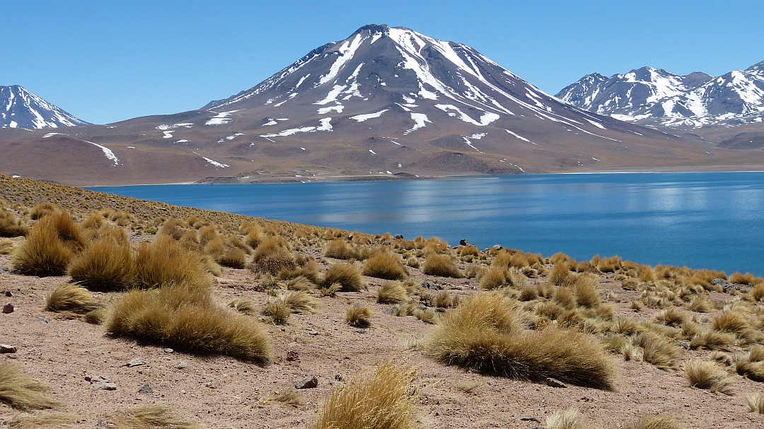 Tag 2 San Pedro: Tagestour Salar de Atacama und Lagunas