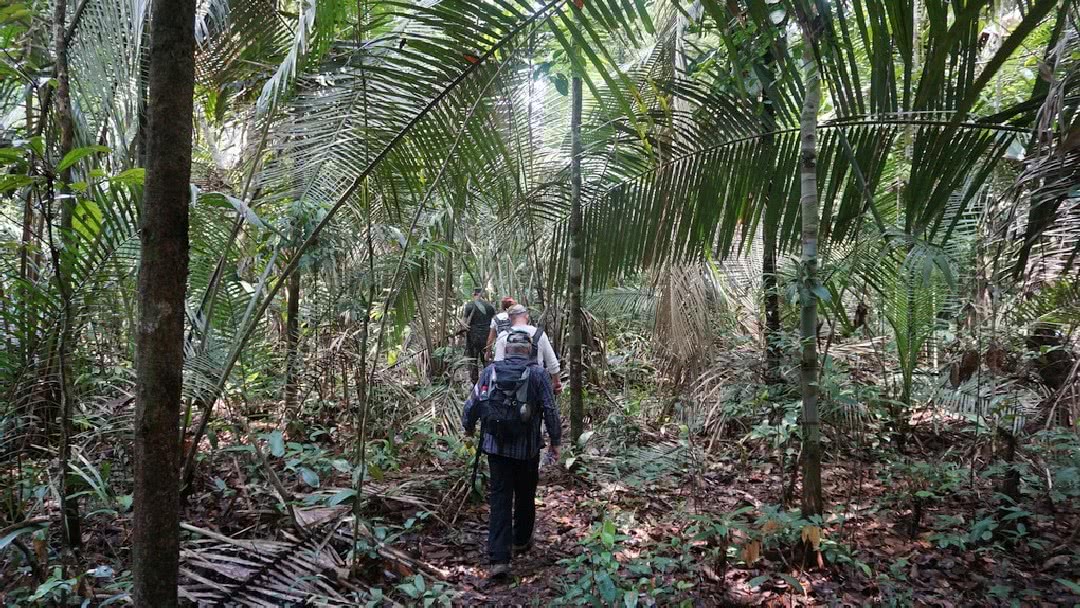 Tag 2 Amazon Turtle Lodge: Survival-Dschungeltour und Bootstour