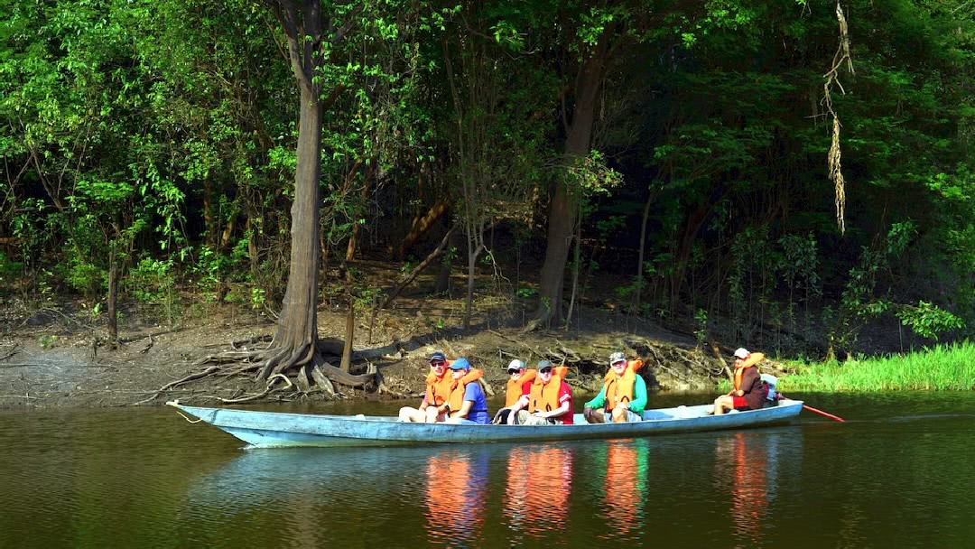 Tag 3 Amazon Turtle Lodge: Das Leben im Amazonas Regenwald