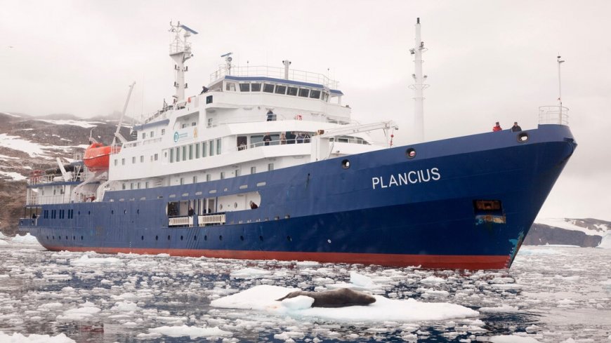 MS Plancius Antarktis Reise: Südgeorgien - Bild 6