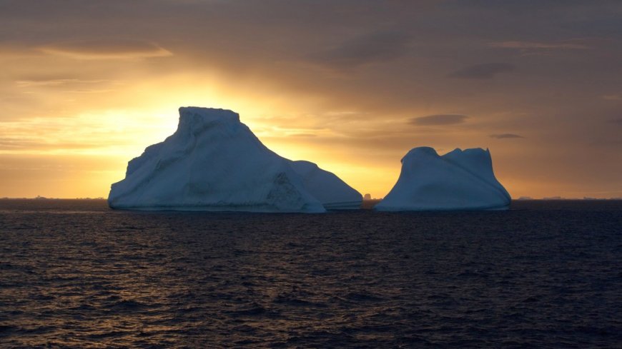 MS Plancius Antarktis Reise: Südgeorgien - Bild 8