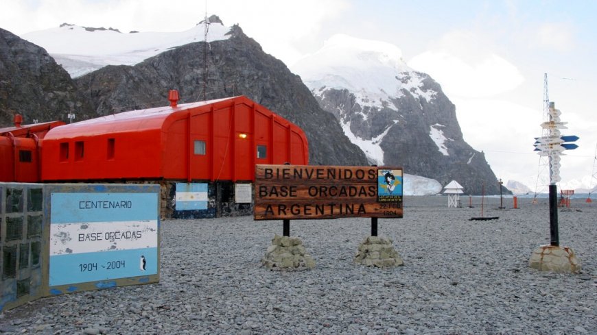 MS Plancius Antarktis Reise: Südgeorgien - Bild 9