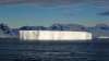 MS Plancius Antarktis Reise: Südgeorgien - Vorschaubild 11