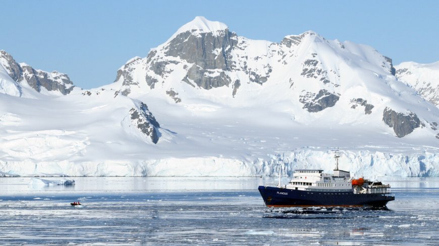 MS Plancius Antarktis Reise: Wale beobachten - Bild 4