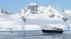 MS Plancius Antarktis Reise: Wale beobachten - Vorschaubild 4