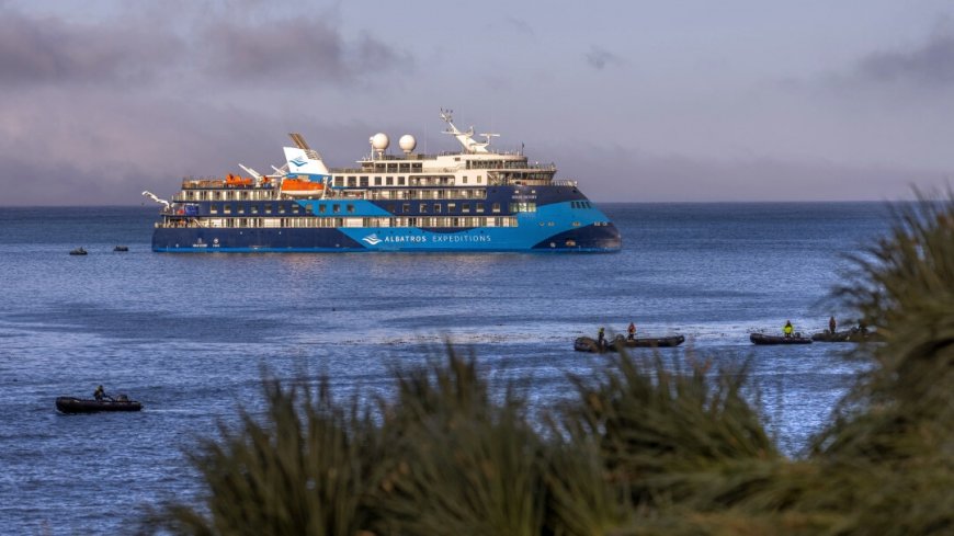 Kreuzfahrt Falkland Inseln, Südgeorgien und Antarktis - Bild 8