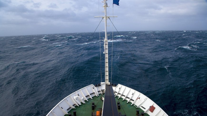 Kreuzfahrt Falkland Inseln, Südgeorgien und Antarktis - Bild 12