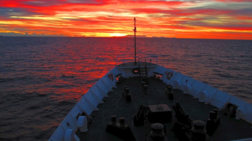 Kreuzfahrt Falkland Inseln, Südgeorgien und Antarktis - Bild 19