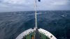 Kreuzfahrt Falkland Inseln, Südgeorgien und Antarktis - Vorschaubild 12