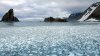 Kreuzfahrt Falkland Inseln, Südgeorgien und Antarktis - Vorschaubild 14