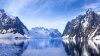 Kreuzfahrt Falkland Inseln, Südgeorgien und Antarktis - Vorschaubild 17