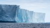 Kreuzfahrt Falkland Inseln, Südgeorgien und Antarktis - Vorschaubild 18