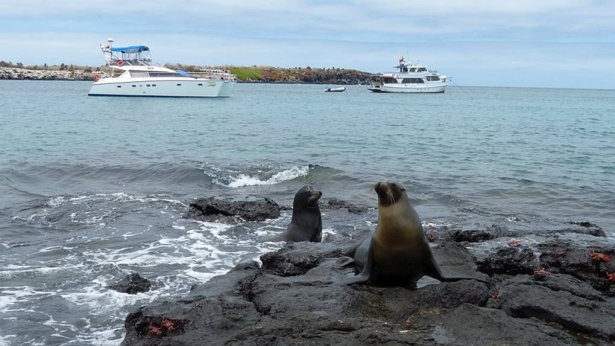 Galápagos Inselhopping - Bild 4