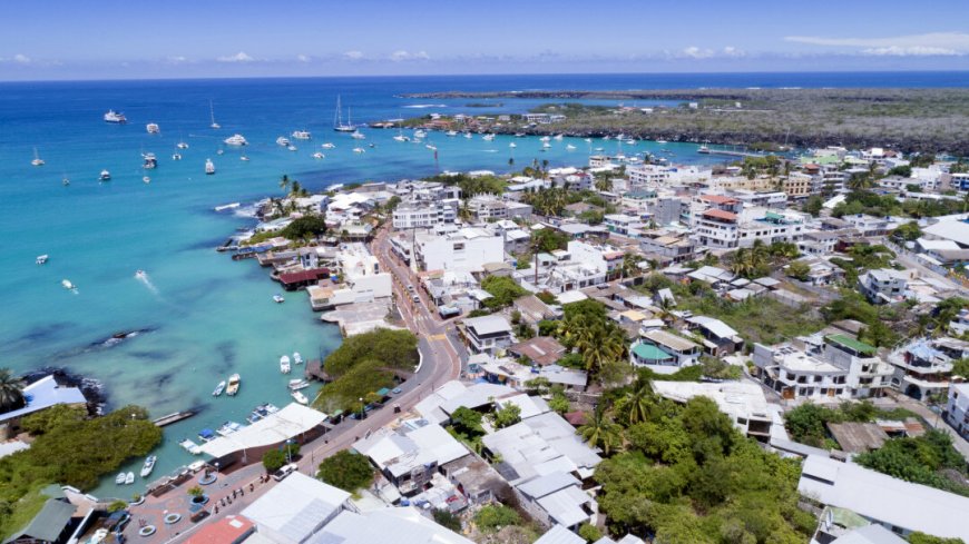 Galapagos Inselhopping mit &Uuml;bernachtung auf Santa Cruz - Bild 5