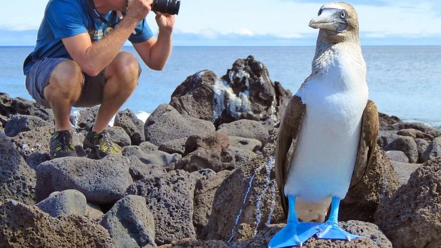 Galápagos Inselhopping - Bild 5