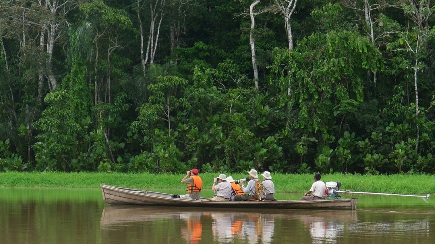Leticia / Amazonas - Bild 3