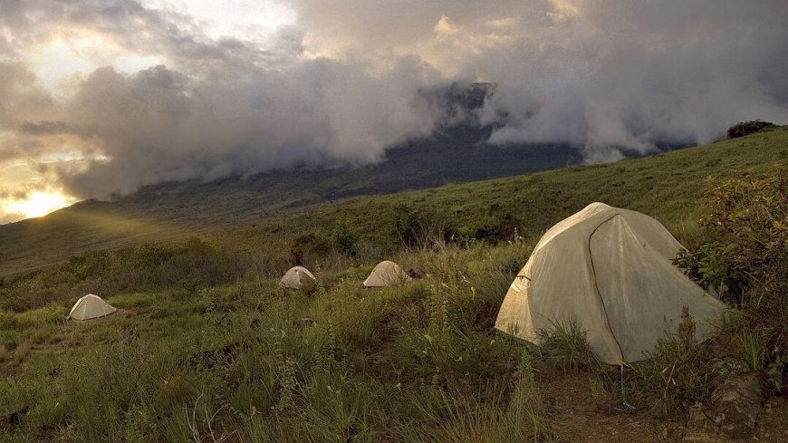 Roraima Trek - Bild 4