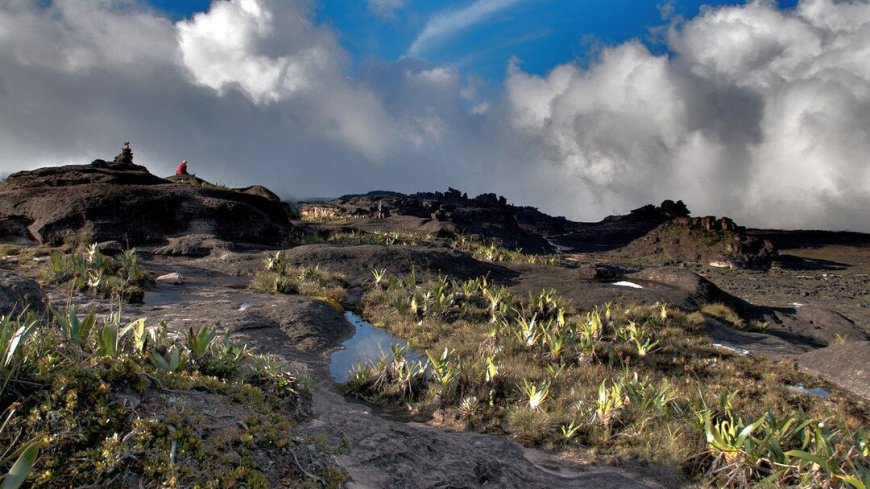Roraima Trek - Bild 6