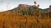Roraima Trek - Vorschaubild 3