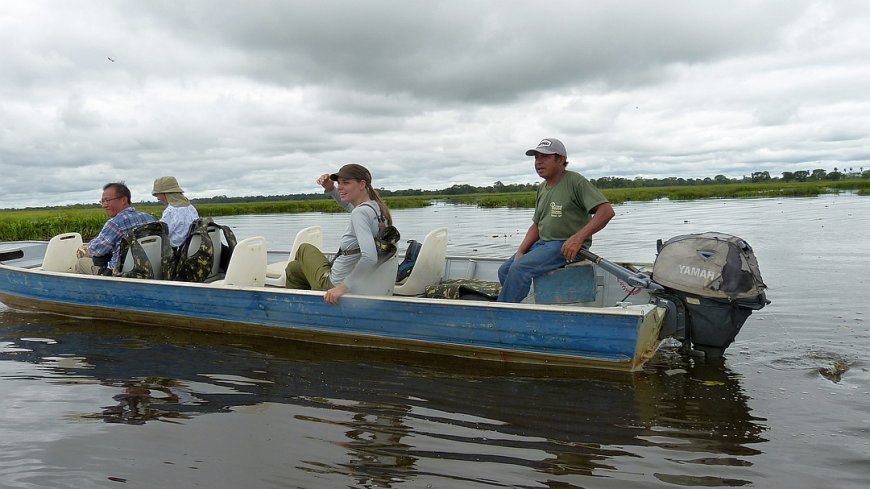 Nordpantanal - Bild 3