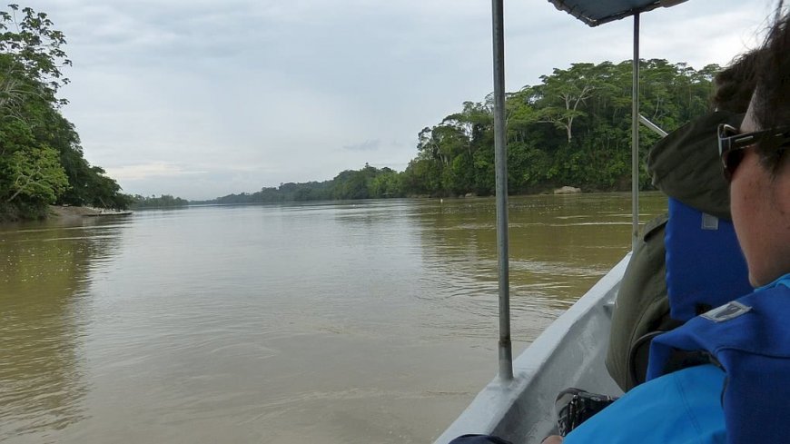 Napo Wildlife Center Ecuador - Bild 2