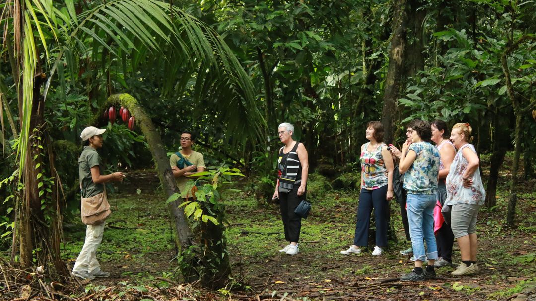 Tag 4 Puerto Vuejo de Sarapiqui: Bio Farm, Regenwaldreservat & Schokotour
