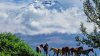 Ecuador Gruppenreise "Kulturen am Äquator" - Vorschaubild 13
