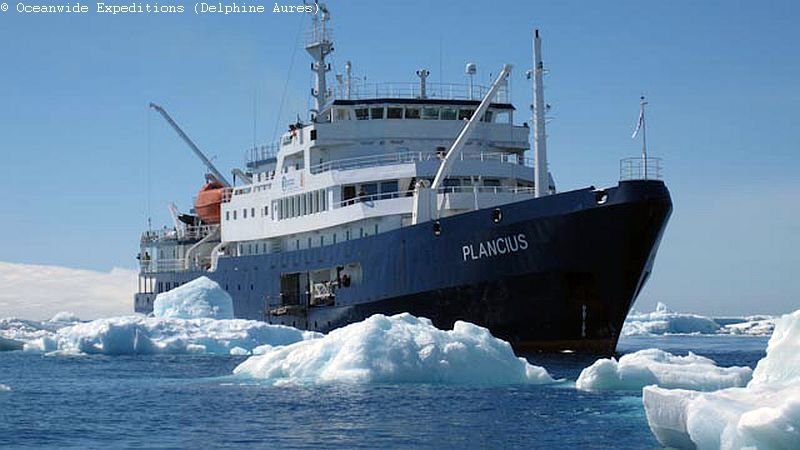 MS Plancius Antarktis Reise: Weddellmeer - Bild 2