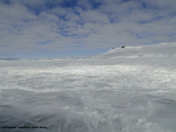 MS Plancius Antarktis Reise: Weddellmeer - Bild 12