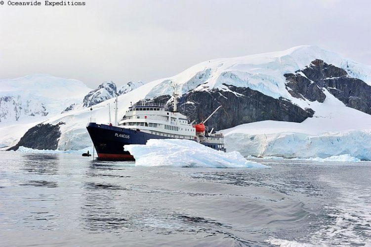MS Plancius Antarktis Reise: Weddellmeer - Bild 22