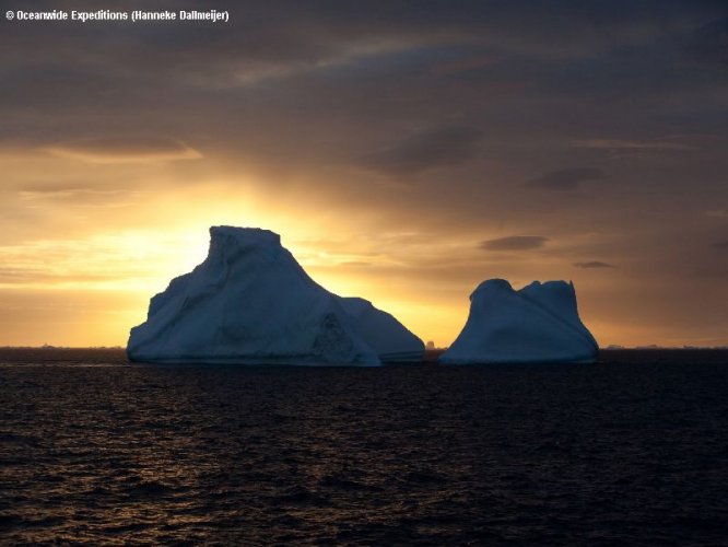 MS Plancius Antarktis Reise: Weddellmeer - Bild 26