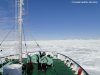 MS Plancius Antarktis Reise: Weddellmeer - Vorschaubild 11