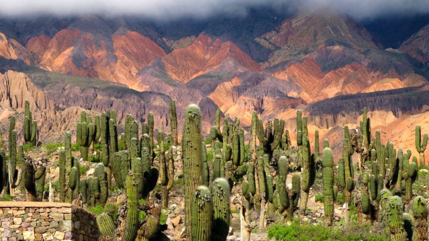 Mietwagenreise Salta und Nord-Argentinien - Bild 5
