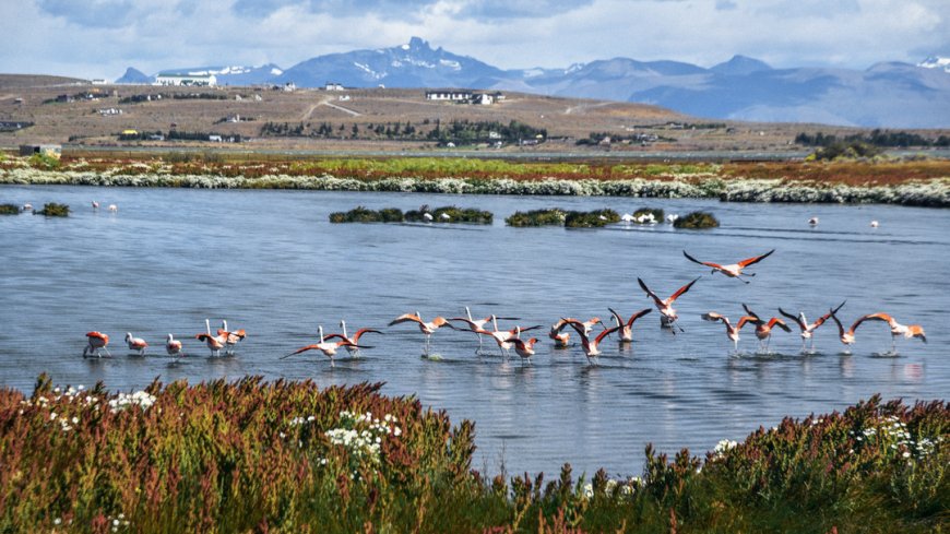 Argentinien Rundreise - Bild 7