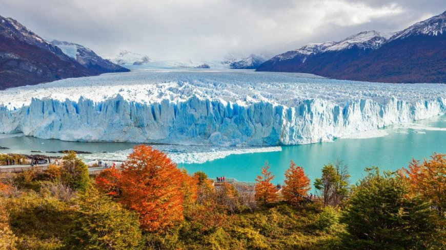 Reise Patagonien und Feuerland - Bild 6