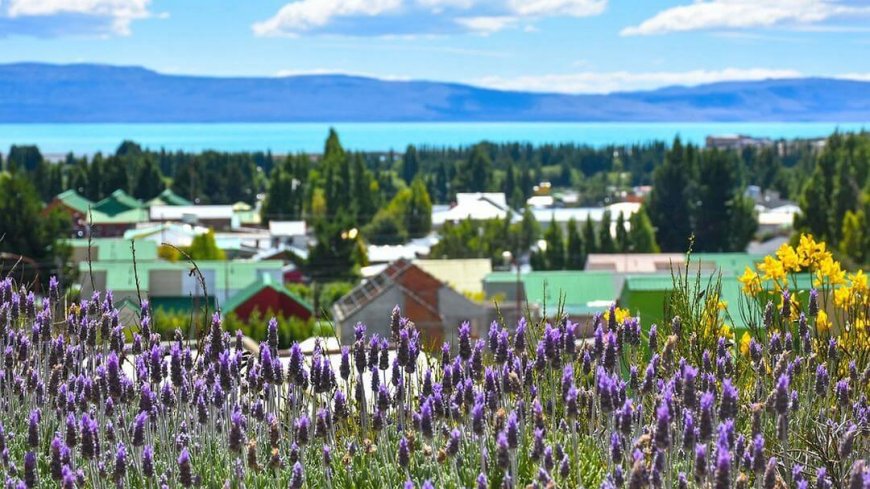 Reise Patagonien und Feuerland - Bild 9