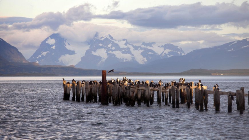 Reise Patagonien und Feuerland - Bild 10