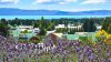 Reise Patagonien und Feuerland - Vorschaubild 9
