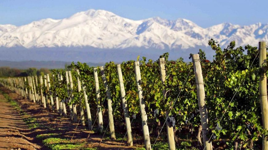 Mendoza - Bild 1