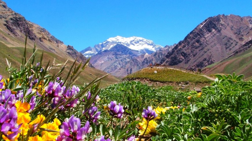Mendoza - Bild 3