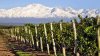 Mendoza - Vorschaubild 1