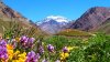 Mendoza - Vorschaubild 3