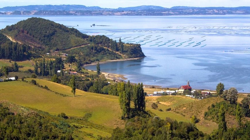 Puerto Montt, Puerto Varas und Chiloé - Bild 4