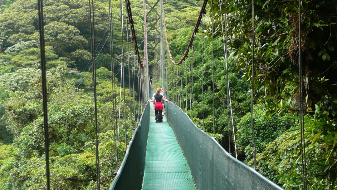 Tag 10 Monteverde: Selvatura Hängebrücke